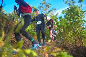 BIB: 
                            <button type="button" onclick="openModal(21842604)" class="btn btn-primary btn-sm float-right btn-popup" data-toggle="modal" data-target=".modal-high-quality">
                        <i class="fas fa-shopping-cart"></i> Add to Cart
                    </button>
                                            <button type="button" onclick="isThisMe(21842604, true)" class="btn btn-success btn-sm float-right btn-popup btn-isme hidden" data-toggle="tooltip" data-placement="bottom" title="นี่คือรูปของคุณใช่ไหม คลิกที่นี่เพื่อเอาเข้าอัลบั้ม">
                        <i class="fas fa-plus"></i> Add to album
                    </button>
                    <button type="button" onclick="isThisMe(21842604, false)" class="btn btn-warning btn-sm float-right btn-popup btn-isnotme hidden">
                        <i class="fas fa-ban"></i> Remove from album
                    </button>